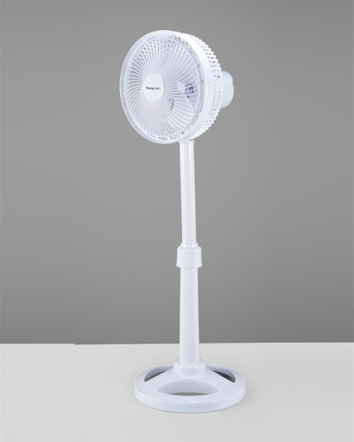 ZL-300